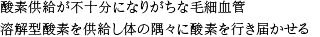 酸素カプセル 概要