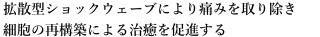 酸素カプセル 概要